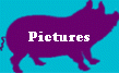 Pictures